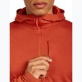 Pánská mikina Icebreaker Merino 260 Quantum IV Zip Hoodie agate 7