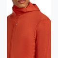 Pánská mikina Icebreaker Merino 260 Quantum IV Zip Hoodie agate 8