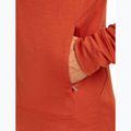 Pánská mikina Icebreaker Merino 260 Quantum IV Zip Hoodie agate 9