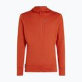Pánská mikina Icebreaker Merino 260 Quantum IV Zip Hoodie agate 10