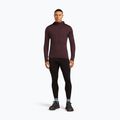 Pánská trekingová mikina Icebreaker Merino 200 RealFleece Descender Zip Hoodie java 2