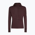 Pánská trekingová mikina Icebreaker Merino 200 RealFleece Descender Zip Hoodie java 10