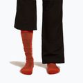 Pánské lyžařské ponožky Icebreaker Merino Ski+ Medium OTC fervid/agate/java 3