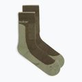 Pánské ponožky Icebreaker Merino Hike+ Medium Crew loden/lichen 2