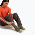 Pánské ponožky Icebreaker Merino Hike+ Medium Crew loden/lichen 3