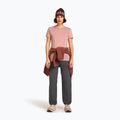 Dámské trekingové tričko Icebreaker Merino 150 Tech Lite III Tee blush 4