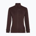 Dámská mikina Icebreaker Merino 260 Quantum Zip java 9