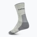 Dámské ponožky icebreaker Merino Hike+ Light Crew 2 pairs blizzar hthr/alloy 2