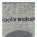 Dámské ponožky icebreaker Merino Hike+ Light Crew 2 pairs blizzar hthr/alloy 3