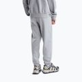 Pánské kalhoty The North Face Evolution Simple Dome Regular Jogger tnf pale grey h 3