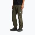 Pánské trekingové kalhoty The North Face Exploration Cargo taupe green