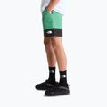 Pánské trekové šortky The North Face Leynar dimmed algae/tnf black 4