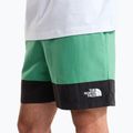 Pánské trekové šortky The North Face Leynar dimmed algae/tnf black 5