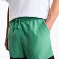 Pánské trekové šortky The North Face Leynar dimmed algae/tnf black 7