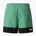Pánské trekové šortky The North Face Leynar dimmed algae/tnf black 10
