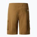 Pánské trekové šortky The North Face Exploration Cargo Shorts utility brown 5