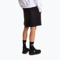 Pánské trekové šortky The North Face Box Nse Light Regular Shorts black 3