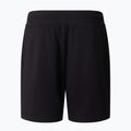 Pánské trekové šortky The North Face Box Nse Light Regular Shorts black 5