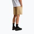 Pánské trekové šortky The North Face Box Nse Light Regular Shorts khaki stone 3