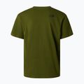 Pánské tričko The North Face Mountain Logo Relaxed woodland green 6