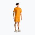 Pánské tričko na lezení The North Face 24/7 Box Nse dust orange 2