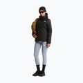 Dámská softshellová bunda The North Face Quest Mono INS tnf black 2
