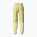 Dámské kalhoty The North Face Mountain Athletics Fleece pear 6