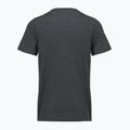 Pánské tričko Smartwool Lunar Bear Active SS Graphic Tee charcoal heather 2