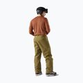 Pánská termo mikina Smartwool Merino 250 Baselayer Crew Boxed burnt sienna 2
