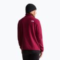 Dámská fleecová mikina The North Face Glacier Fleece 1/4 Zip burgundy crush 3