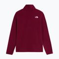 Dámská fleecová mikina The North Face Glacier Fleece 1/4 Zip burgundy crush 5
