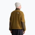 Pánská fleecová mikina The North Face Yumiori Off Peak 1/2 Zip caraway seed/ne 3