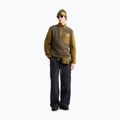 Pánská fleecová mikina The North Face Yumiori Full Zip new taupe green 2
