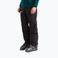 Pánské lyžařské kalhoty The North Face Chakal tnf black