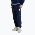 Pánské kalhoty The North Face Evo Box Half Dome Regular Tappered summit navy 3