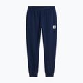 Pánské kalhoty The North Face Evo Box Half Dome Regular Tappered summit navy 5