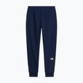 Pánské kalhoty The North Face Evo Box Half Dome Regular Tappered summit navy 6