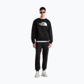 Pánské kalhoty The North Face Evo Box Half Dome Regular Tappered tnf black 2