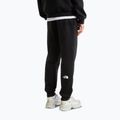 Pánské kalhoty The North Face Evo Box Half Dome Regular Tappered tnf black 3