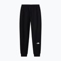 Pánské kalhoty The North Face Evo Box Half Dome Regular Tappered tnf black 5