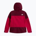 Dámská nepromokavá bunda The North Face Gtx Jazzi lali guran/burgundy cru 6
