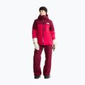 Dámská lyžařská bunda The North Face Freedom Insulated lali guran/burg 2