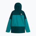 Pánská nepromokavá bunda The North Face Jazzi 3L Gtx restorative tea 6