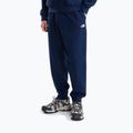 Pánské kalhoty The North Face Evolution Simple Dome Regular Joggers summit navy