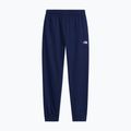 Pánské kalhoty The North Face Evolution Simple Dome Regular Joggers summit navy 4