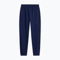 Pánské kalhoty The North Face Evolution Simple Dome Regular Joggers summit navy 5