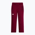 Dámské lyžařské kalhoty The North Face Lenado burgundy crush
