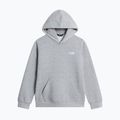 Dětská mikina The North Face Evolution Simple Dome Pullover Hood tnf pale grey heather