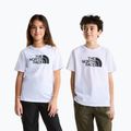 Dětské tričko The North Face Evolution Half Dome SS Tee tnf white