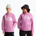 Dětská mikina The Noryh Face Essential Drew Peak Hoodie hushed lavender 3